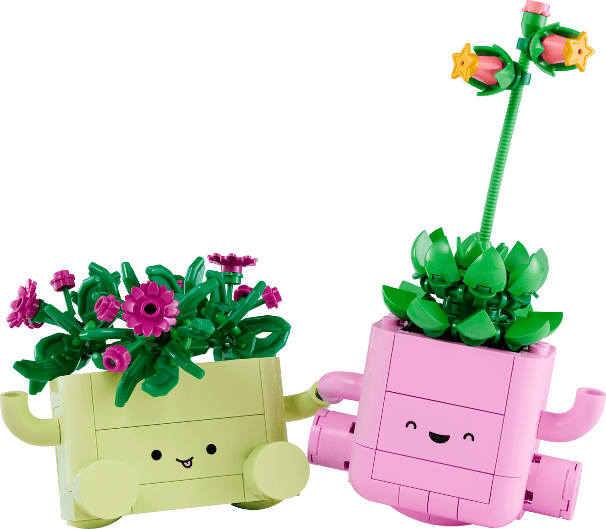 LEGO Botanicals Rocking Plants 11506 – Cooltura Venezuela