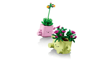 LEGO Botanicals Rocking Plants 11506 – Cooltura Venezuela