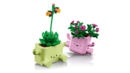 LEGO Botanicals Rocking Plants 11506 – Cooltura Venezuela